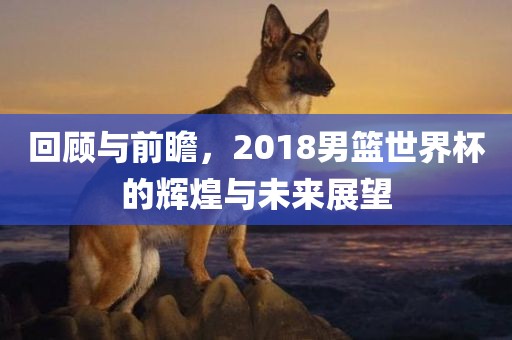 回顾与前瞻，2018男篮世界杯的辉煌与未来展望洪湖市顺升工程机械租赁有限公司