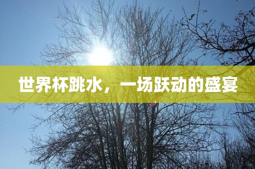 世界杯跳水，一场跃动的盛宴洪湖市顺升工程机械租赁有限公司