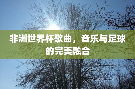 非洲世界杯歌曲，音乐与足球的完美融合