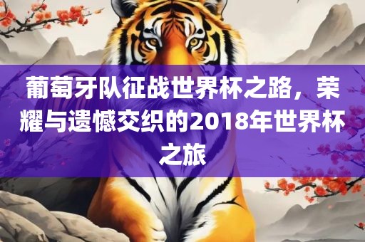 葡萄牙队征战世界杯之路，荣耀与遗憾交织的2018年世界杯之旅