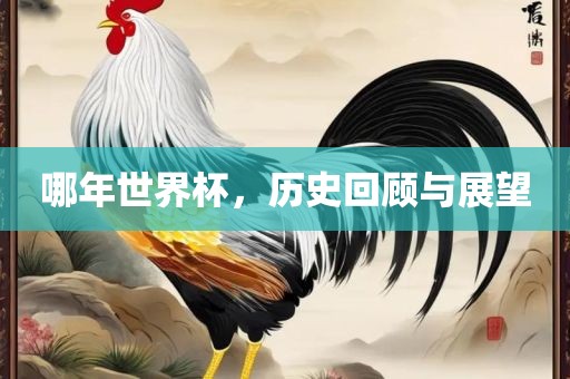 哪年世界杯，历史回顾与展望