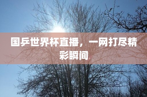 国乒世界杯直播，一网打尽精彩瞬间