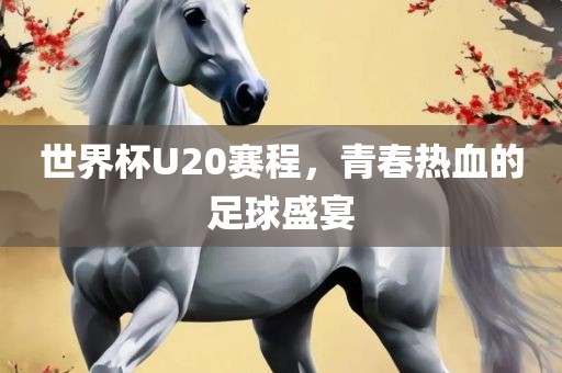 世界杯U20赛程，青春热血的足球盛宴