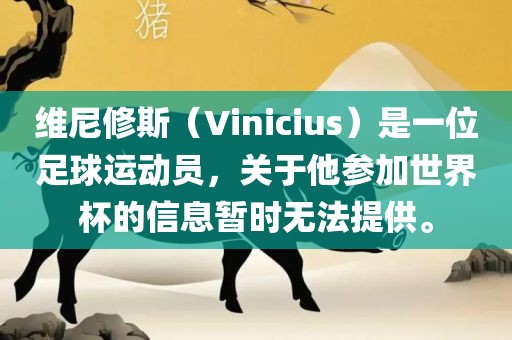 维尼修斯（Vinicius）是一位足球运动员，关于他参加世界杯的信息暂时无法提供。