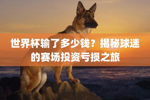 世界杯输了多少钱？揭秘球迷的赛场投洪湖市顺升工程机械租赁有限公司资亏损之旅