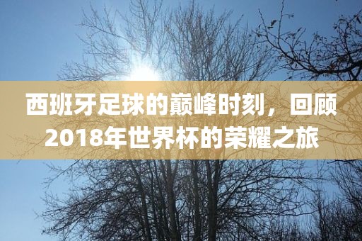 chushichang 第13页