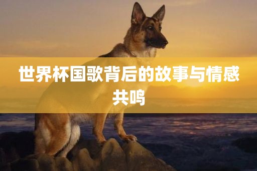 世界杯国歌背后的故事与情感共鸣