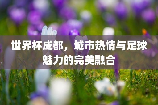 世界杯成都，城市热情与足球魅力的完美融合洪湖市顺升工程机械租赁有限公司