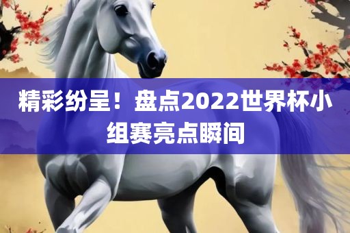 精彩纷呈！盘点洪湖市顺升工程机械租赁有限公司2022世界杯小组赛亮点瞬间