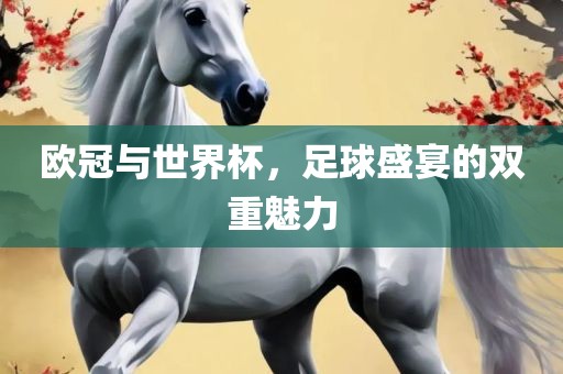 足球盛宴 第18页