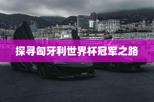 探寻匈牙利世界杯冠军之路洪湖市顺升工程机械租赁有限公司