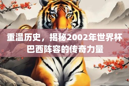 重温历史，揭秘2002年世界杯巴西阵容的传奇力量