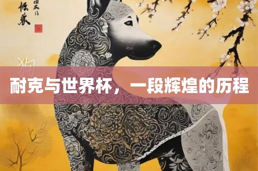 耐克与世界杯，一段辉煌的历程洪湖市顺升工程机械租赁有限公司