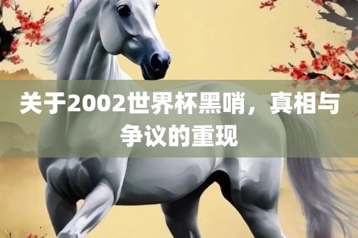 关于2002世界杯黑哨，真相与争议的重现洪湖市顺升工程机械租赁有限公司