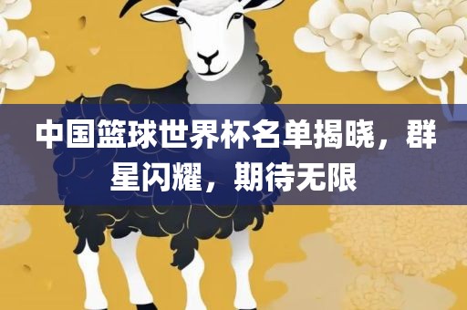 中国篮球世界杯名单揭晓，群星闪耀，期待无限