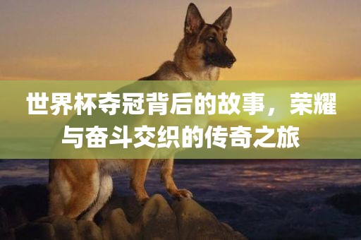 世界杯夺冠背后的故事，荣耀与奋斗交织的传奇之旅