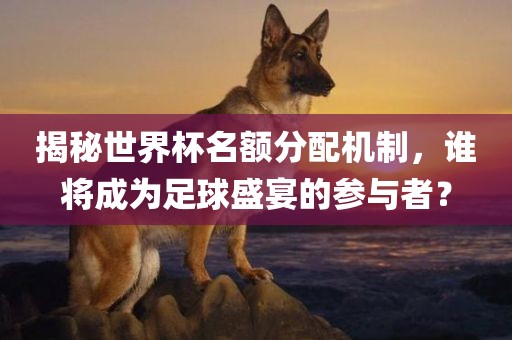 揭秘世界杯名额分配机制，谁将成为足球盛宴的参与者？洪湖市顺升工程机械租赁有限公司