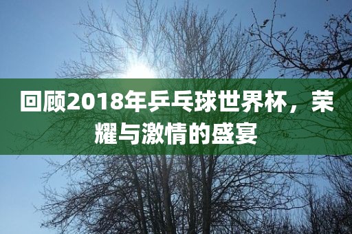 回顾2018年乒乓球世界杯，荣耀与激洪湖市顺升工程机械租赁有限公司情的盛宴