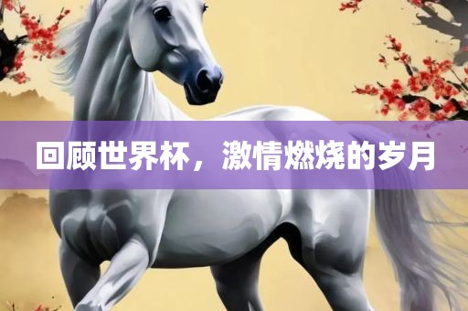 回顾世界杯，激情燃烧的岁月