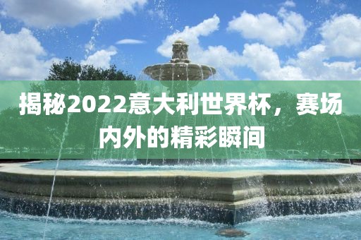 揭秘2022意大利世界杯，赛场内外的精彩瞬间洪湖市顺升工程机械租赁有限公司