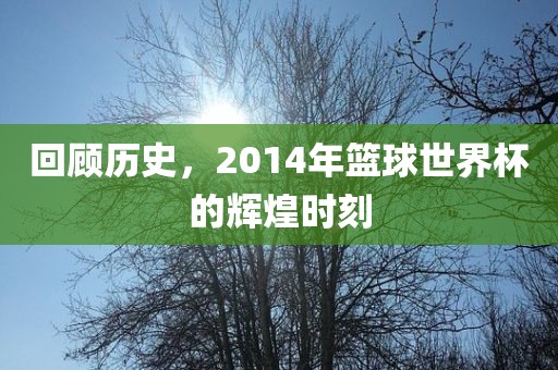 回顾历史，2014年篮球世界杯的辉煌时刻洪湖市顺升工程机械租赁有限公司