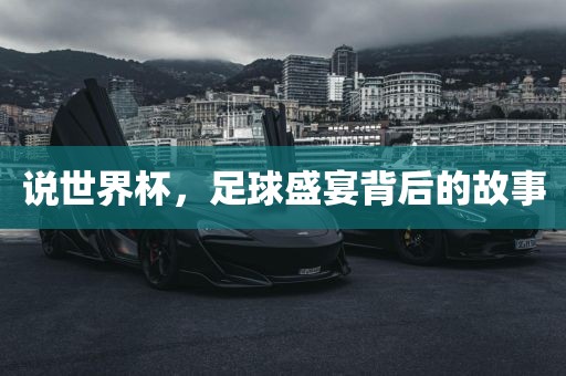 说世界杯，足球盛宴背后的故事洪湖市顺升工程机械租赁有限公司