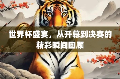 世界杯盛宴，从开幕到决赛的精彩瞬间回顾洪湖市顺升工程机械租赁有限公司