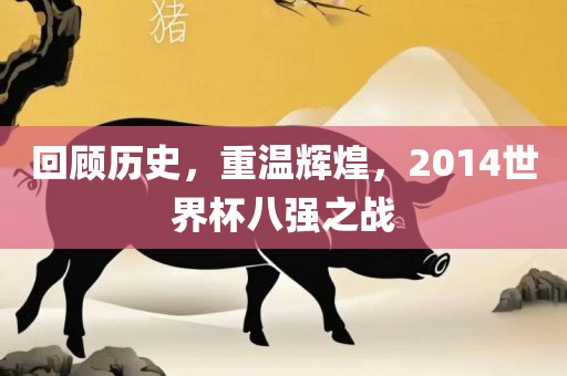 回顾历史，重温辉煌，2014世界杯八强之战洪湖市顺升工程机械租赁有限公司