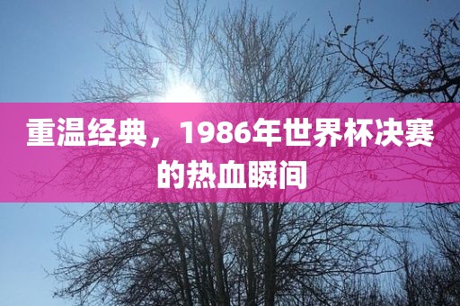 重温经典洪湖市顺升工程机械租赁有限公司，1986年世界杯决赛的热血瞬间