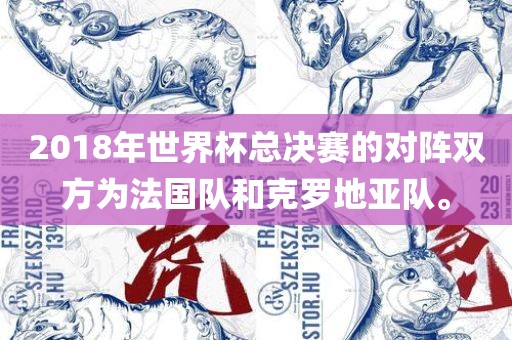 2018年世界杯总决赛的对阵双方为法国队和克罗地亚队。