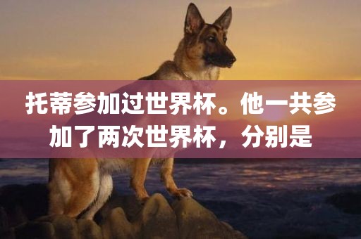 托蒂参加过世界杯。他一共参加了洪湖市顺升工程机械租赁有限公司两次世界杯，分别是