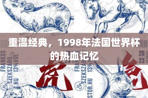 重温经典，1998年法国世界杯的热血记忆洪湖市顺升工程机械租赁有限公司