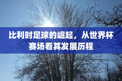比利时足球的崛起，从世界杯赛场看其发展历程