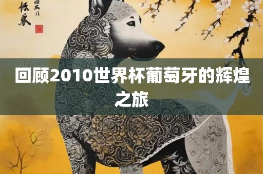 回顾2010世界杯葡萄牙的辉煌之旅