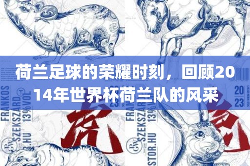 荷兰足球的荣耀时刻，回顾2014年世界杯荷兰队的风采