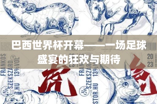 巴西世界杯 第15页