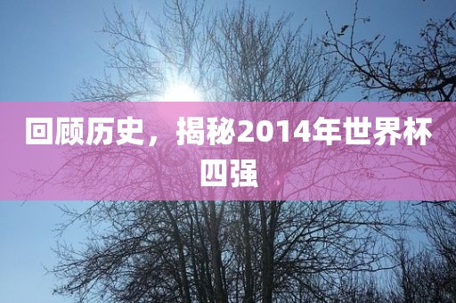 回顾历史，揭秘2014年世界杯四强