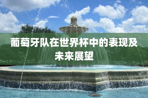 葡萄牙队在世界杯中的表现及未来展望洪湖市顺升工程机械租赁有限公司