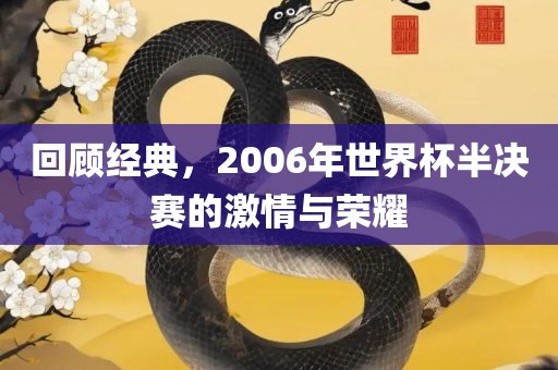 回顾经典，2006年世界杯半决赛的激情与荣耀洪湖市顺升工程机械租赁有限公司