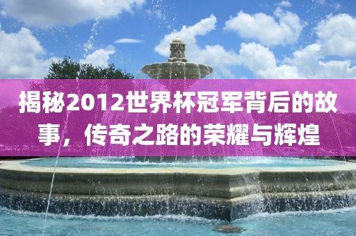 揭秘2012世界杯冠军背后的故事，传奇之路的荣耀与辉煌洪湖市顺升工程机械租赁有限公司