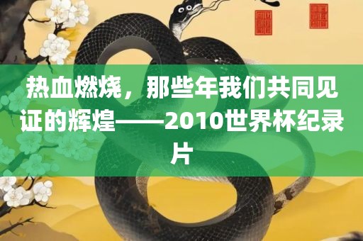 热血燃烧，那些年我们共同见证的辉煌——2010世界杯纪录片