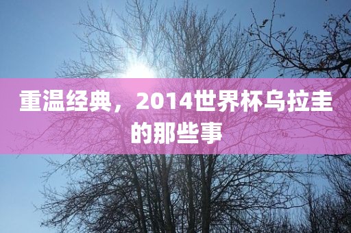 重温经典，2014世洪湖市顺升工程机械租赁有限公司界杯乌拉圭的那些事