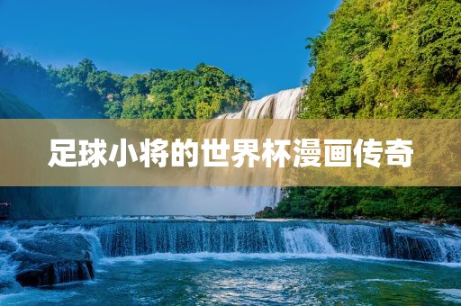 足球小将的世界杯漫画传奇