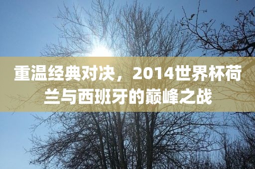 重温经典对决，2014世界杯荷兰与西班牙的巅峰之战