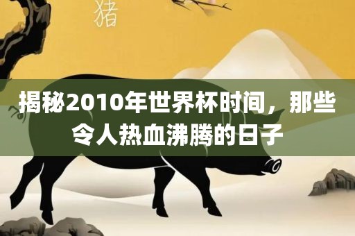 揭秘2010年世界杯时间，那些令人热血沸腾的日子洪湖市顺升工程机械租赁有限公司