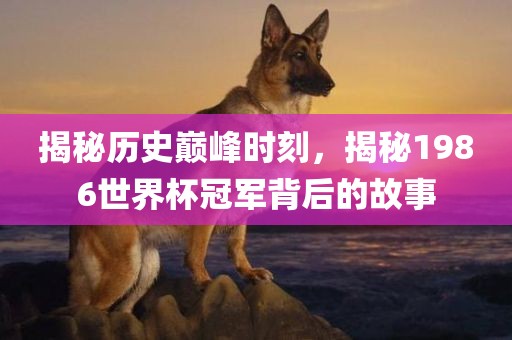 揭秘历史巅峰时刻，揭秘1986世界杯冠军背后的故事