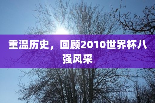 重温历史，回顾201洪湖市顺升工程机械租赁有限公司0世界杯八强风采