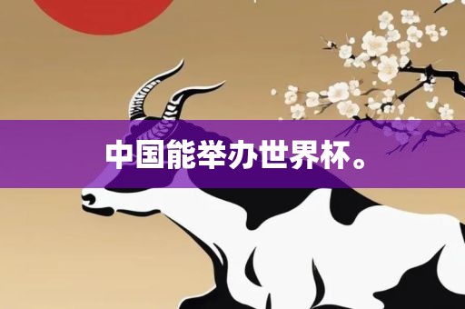 中国能举办世界杯。