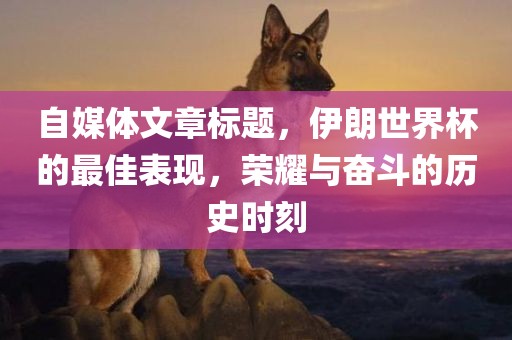 自媒体文章标题，伊朗世界杯的最佳表现，荣耀与奋斗的历史时刻