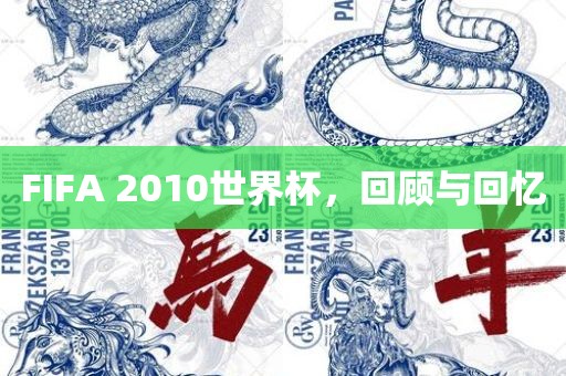 FIFA洪湖市顺升工程机械租赁有限公司 2010世界杯，回顾与回忆